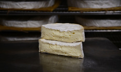 Alléosse Maitre Artisan Affineur Fromager - Coulommiers au lait cru (Demi)