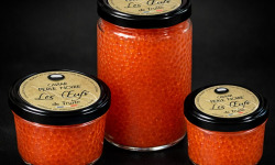 Caviar Perle Noire - OEUFS DE TRUITE NATURE 500G