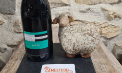 Lou Canesteou - Petit Jo Rouge Bio Domaine La Rochebuissière
