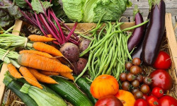 La Ferme de Goas Per - Panier de légume de saison Bio