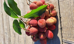 La Boite à Herbes - Litchi Bio La réunion 400 g