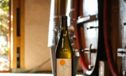 La Balle - Vin nature Blanc La Balle La Balèze 6x75cl