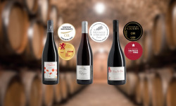 Domaine de la Chopinière du Roy - Coffret Or et Argent - 3 bouteilles de vins rouges Saint Nicolas de Bourgueil médaillés - 3 x 75 cl