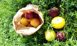 Le Châtaignier - Prunes - 500g