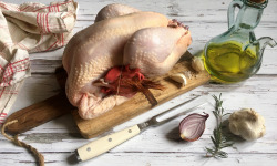 Les poulets de la Marquise - Gros poulet fermier BIO - 2,2 kg à 2,6 kg