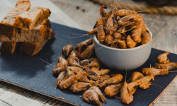 Thalassa Tradition - Crevettes Grises Cuites - 1kg