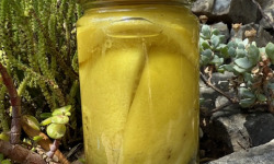 L’Oliveraie du Coudon - CITRON CONFIT QUARTS BIO EN POT DE 140GR