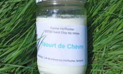 Ferme Ho'Rocher - Yaourt Nature au lait de chèvre 500g