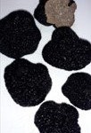 Ferme de Pourcier - Truffe Fraîche - Truffe d'été 500g