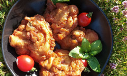 Christian Boudes - 15 beignets de ratatouille