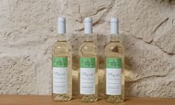 Domaine Les Conques Soulière - MUSC 3x75 Muscat Petits Grains