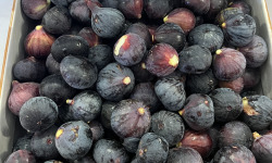 Délit de Gourmandise - Figues Noires Fraiches Bio - 8 kg