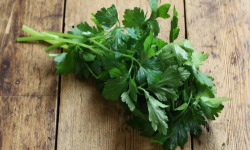 Nature et Saveurs - Ferme Aquaponique et Permacole Astérienne - Persil plat italien — fraîcheur aromatique méditerranéenne