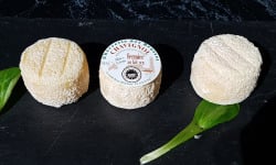 Les Délices de la Chèvrerie - Crottin De Chavignol AOP x3