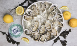 Les Huîtres du Père Gus - Huître fine - La Coutainvillaise en Numéro 2 (grosses) x 15 kg