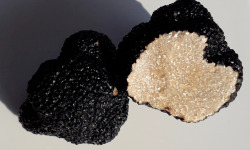 Ferme de Pourcier - Truffe Fraîche - Truffe d'été 100g