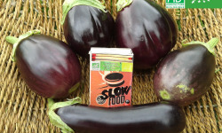 LES JARDINS DE KARINE - Aubergines violettes - 1kg