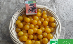 LES JARDINS DE KARINE - Prune Myrobolan jaune - 1kg
