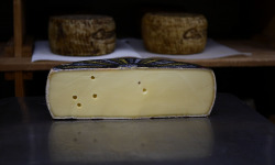Alléosse Maitre Artisan Affineur Fromager - Appenzeller extra au lait cru à la saumure d'herbes aromatiques 250g