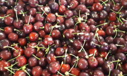 Le Châtaignier - Cerises - Colis De 2 Kg