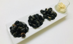 Mer Sea - Bigorneaux vivants 1 Kg