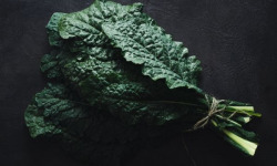 ChâteauFer - Chou Kale - Noir 1kg