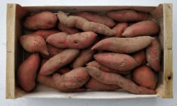 Langevine - Patate Douce BIO 1kg