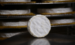 Alléosse Maitre Artisan Affineur Fromager - Camembert de Normandie Jort AOP au lait cru moulé à la louche