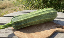Ferme Sinsac - Courgette verte variété Costata Romanesco 1,2kg