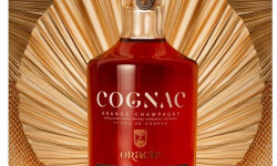 Mte Spiritueux - COGNAC EXTRA GRANDE CHAMPAGNE 1ER CRU 42% VOL AVEC ETUI