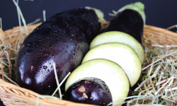 Le Châtaignier - Aubergine 1kg