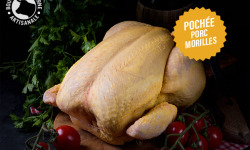 Boucherie Moderne - [Précommande] Chapon Farce PORC / Morilles POCHÉ