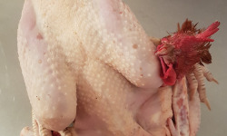 Les Volailles de la Garenne - Poulet fermier entier Label Rouge - 2 kg