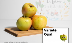 La Ferme des Prun'Elles - Pomme Opal