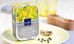 La Perle des Dieux - Sardines au poivre sauvage de Madagascar - lot de 4 boîtes