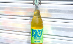 Brasserie L'Indispensable LOVEN Kombucha - Kombucha Hoppy (Houblons) - 3x75cl