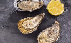 Fine de Cancale - Huîtres de Cancale N°2 - 100 pièces