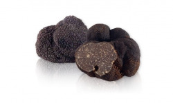 Ferme de Pourcier - [Précommande] Truffe Fraîche - Tuber Melanosporum 50g