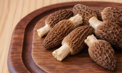 Cham B - [Précommande] Morilles fraîches cultivées en Charente 250g