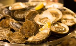 Huîtres Prat-Ar-Coum Alain Madec - Huître plate n°1x50