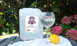 Alcools Vivant - Gin Iris Bio bidon 5L