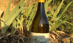 Depuis des Lustres - Comptoir Corse - Domaine de Tremica - Cuvée Abbramante blanc 2021