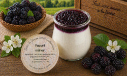 Ferme de l'Elanion - Yaourt Mûres 125g