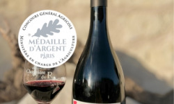 Domaine de la Chopinière du Roy - Vin rouge Saint Nicolas de Bourgueil - Cuvée Sous la Robe 2023 - 6x75cl