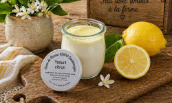 Gaec de l'Elanion - Yaourt Citron  125g