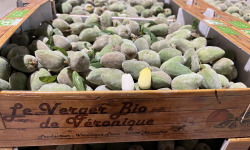 Délit de Gourmandise - Amandes Fraîches Bio - 1 kg