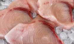 L'atelier des poissonniers - Tranche d'espadon frais