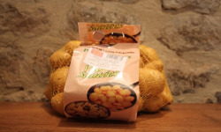 La Ferme DUVAL - Pomme de Terre Chair Tendre Dali 2 kg