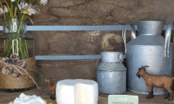 Boutique Boisette - Le p’tit boisettin pur chèvre égoutté 160g