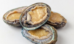 Saint Kerber - Cancale - Ormeaux sauvages pêchés en plongée 3kg